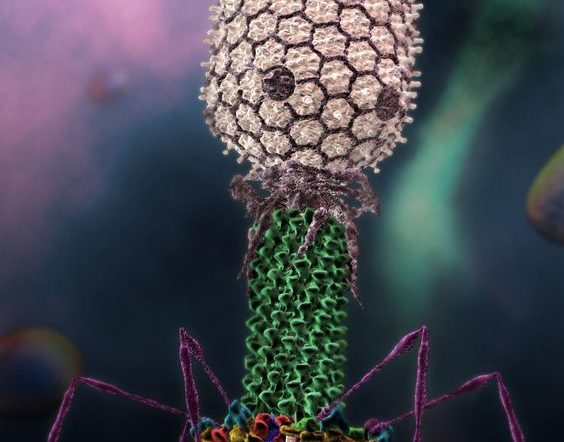 Virüsler Hakkında Şaşırtıcı Detaylar