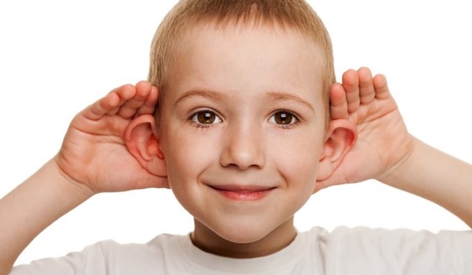 Kulaktaki Altın Oran, Duyma İşlemini Nasıl Kolaylaştırır?