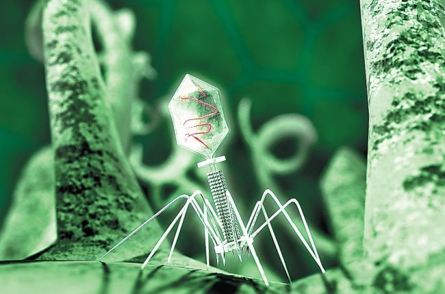 İnsana Aczini Hatırlatan Mikroskobik Varlıklar “Virüsler”