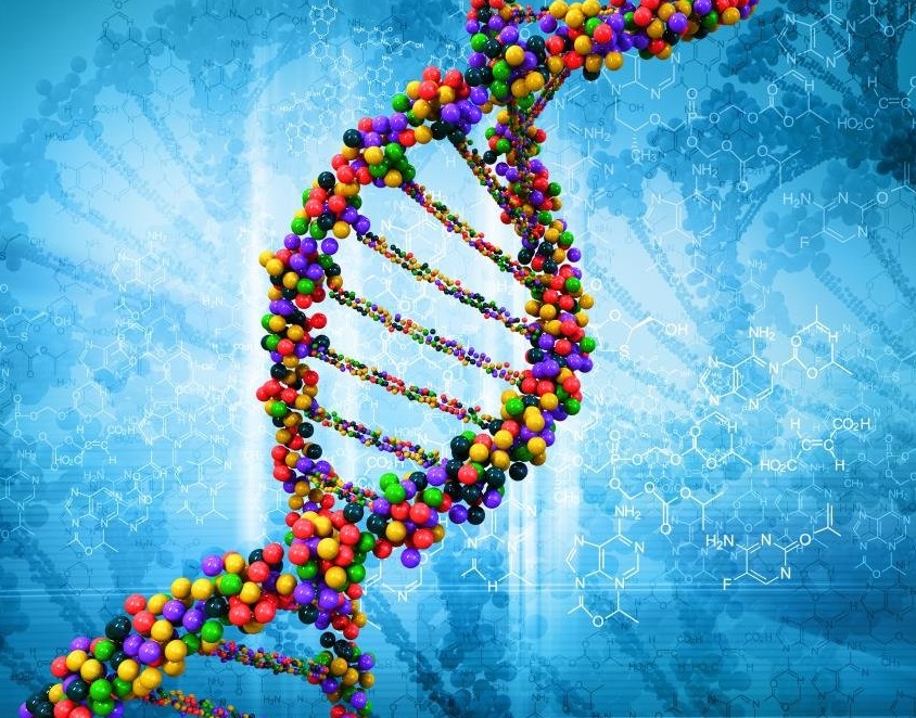 Minyatür Bilgi Bankası: DNA