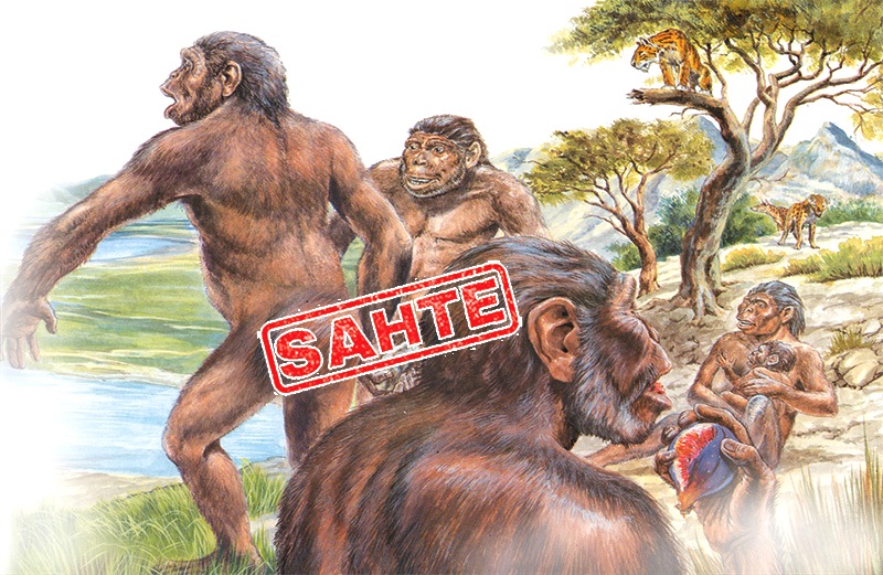 Homo Sapiens Archaic, Homo Heilderbergensis ve Cro-Magnon