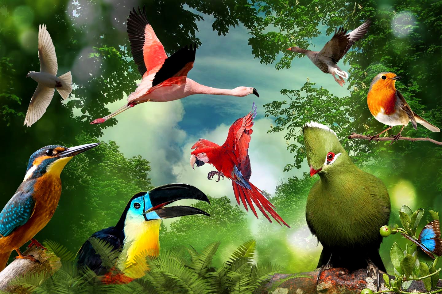Kuşların ve Memelilerin Hayali Evrimi
