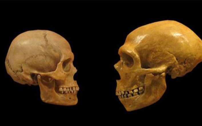 Sibiryalı Bir İnsan Irkı: Denisovanlar