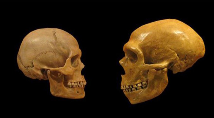 Sibiryalı Bir İnsan Irkı: Denisovanlar