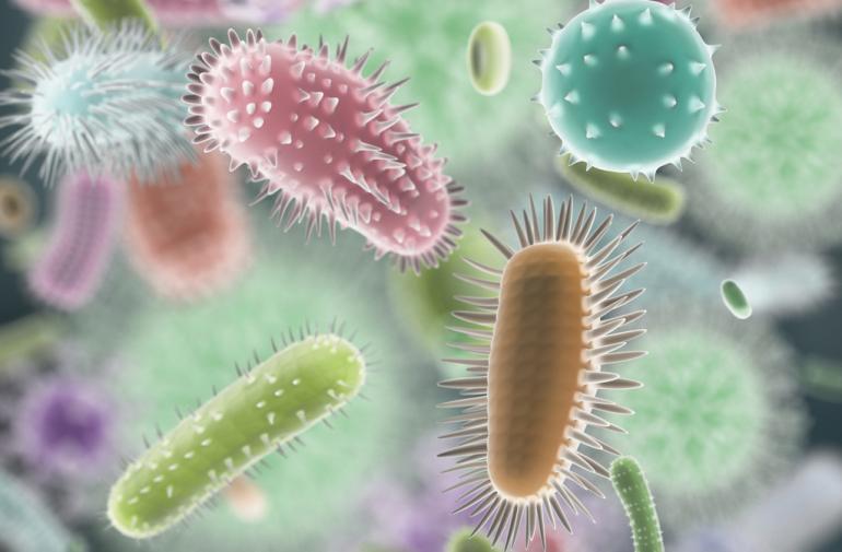 Bakterilerin Sahip Olduğu Üstün Detaylar