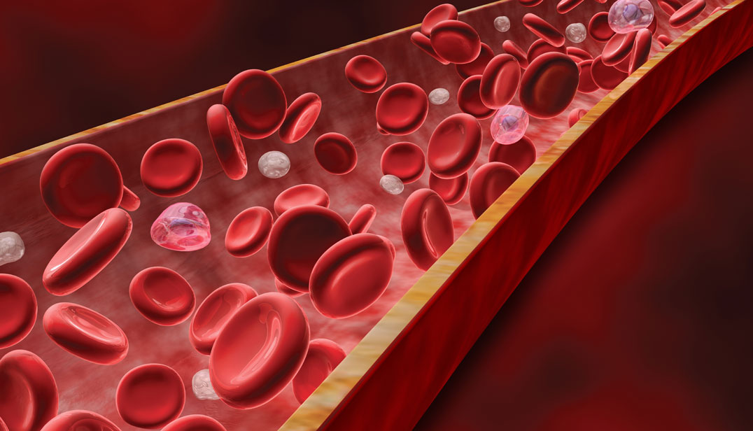 Oksijen Taşıyan Mucize Molekül: Hemoglobin