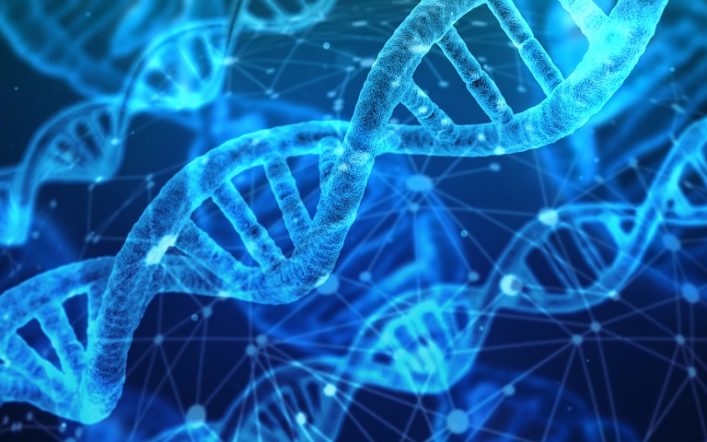 DNA’nın Mucizevi Çoğaltılması İşlemi