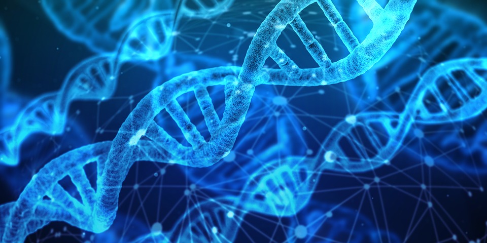 DNA’nın Mucizevi Çoğaltılması İşlemi