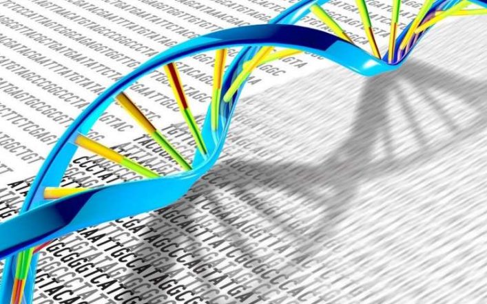 DNA Sarmalının Kimyasal Yapısı