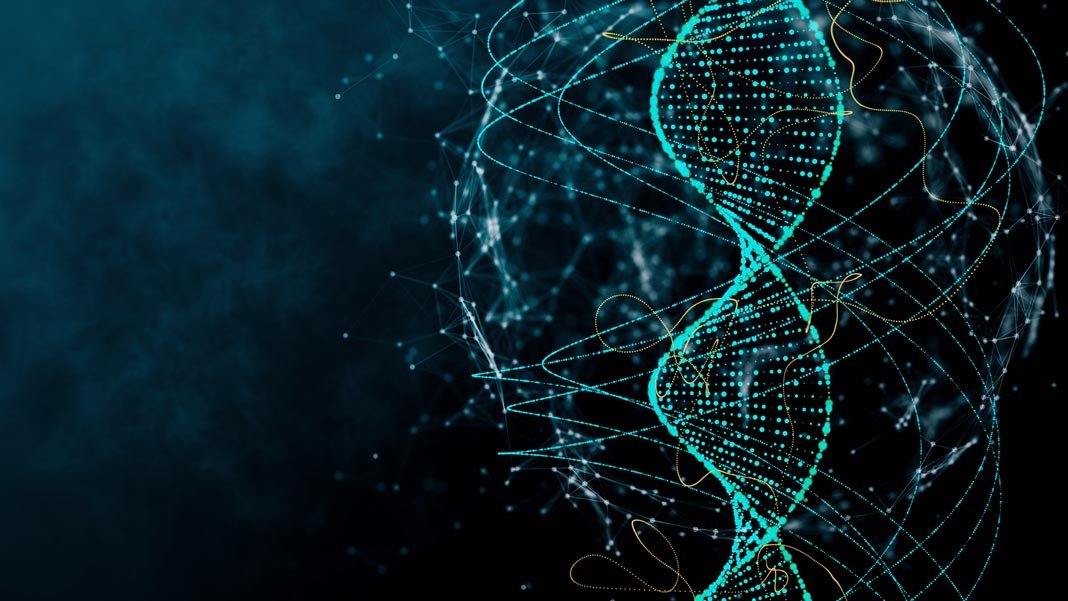 Bilinen En Gelişmiş Bilgi Bankası DNA