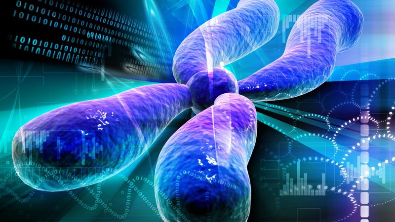 DNA’nın sarmal yapısındaki şaşırtıcı düzen