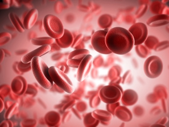 Mucize Protein: Hemoglobin