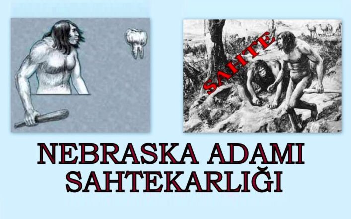Nebraska Adamı: Bir Domuz Dişi