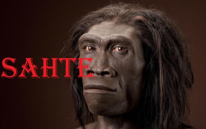 Homo Erectus ve Sonrası: Gerçek İnsanlar