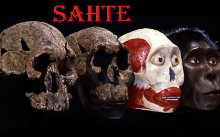 Homo Rudolfensis: Yanlış Yapıştırılan Yüz