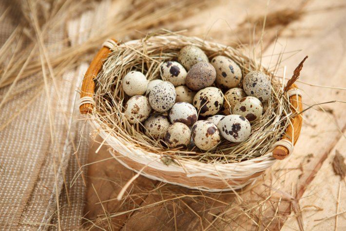 Benekler Yumurta Kabuğunu Nasıl Güçlendirir?